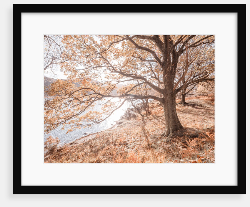 Derwentwater, Lake district by Assaf Frank